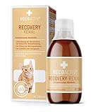 RECOACTIV Recovery Renal für Katzen, 1 x 280ml, hochkalorisches Diät-Alleinfuttermittel bei...